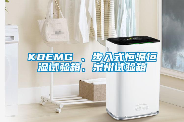 KOEMG 、步入式恒溫恒濕試驗箱、泉州試驗箱