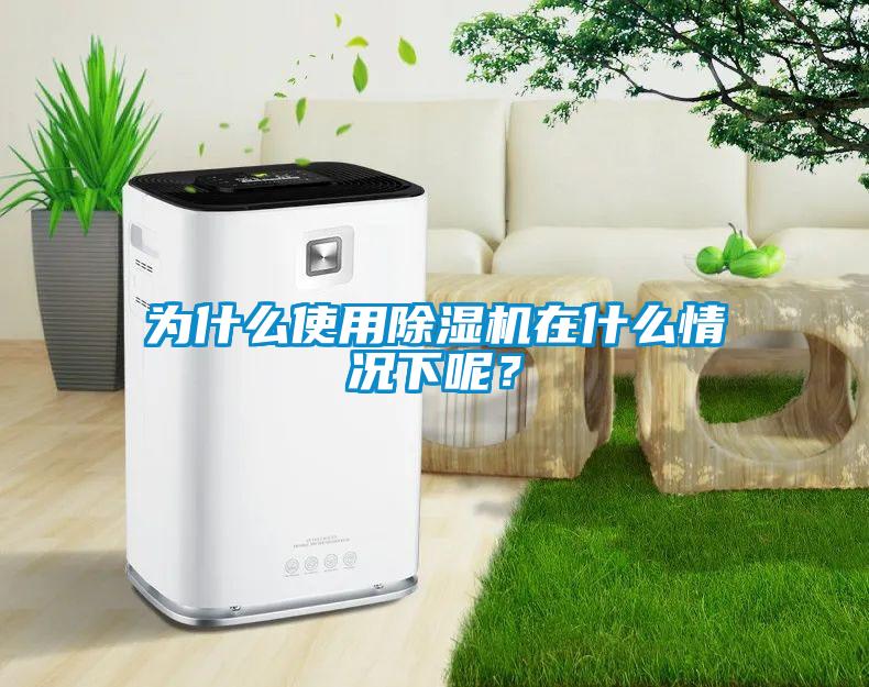 為什么使用除濕機(jī)在什么情況下呢？