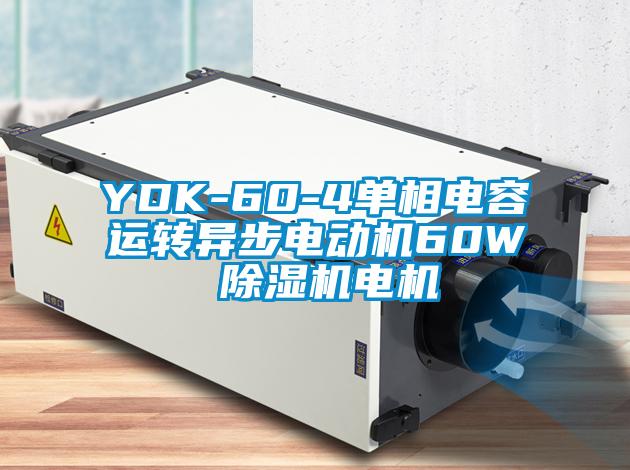 YDK-60-4單相電容運(yùn)轉(zhuǎn)異步電動(dòng)機(jī)60W 除濕機(jī)電機(jī)