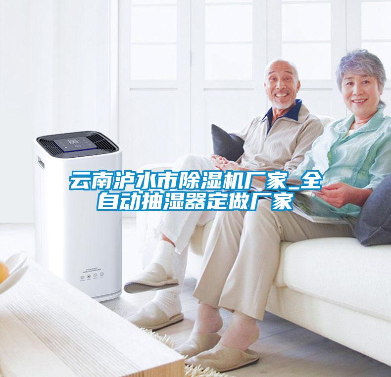 云南瀘水市除濕機(jī)廠家_全自動(dòng)抽濕器定做廠家