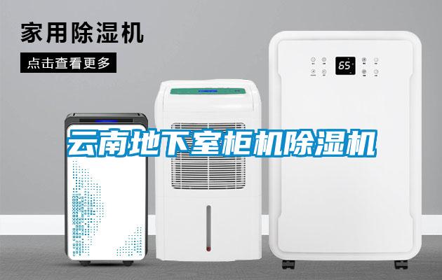 云南地下室柜機除濕機