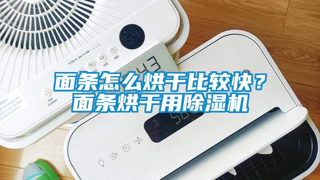 面條怎么烘干比較快？面條烘干用除濕機(jī)