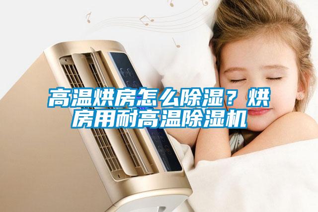 高溫烘房怎么除濕？烘房用耐高溫除濕機