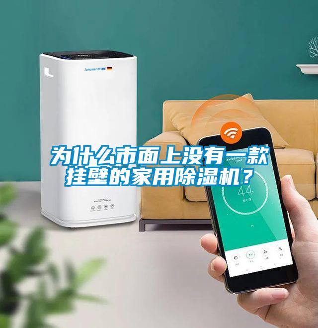 為什么市面上沒有一款掛壁的家用除濕機？