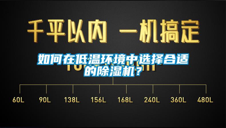 如何在低溫環(huán)境中選擇合適的除濕機(jī)？