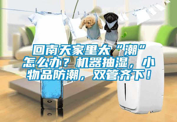 回南天家里太“潮”怎么辦？機(jī)器抽濕，小物品防潮，雙管齊下！