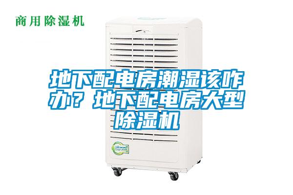 地下配電房潮濕該咋辦？地下配電房大型除濕機(jī)