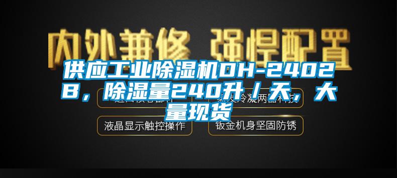 供應(yīng)工業(yè)除濕機(jī)DH-2402B，除濕量240升／天，大量現(xiàn)貨