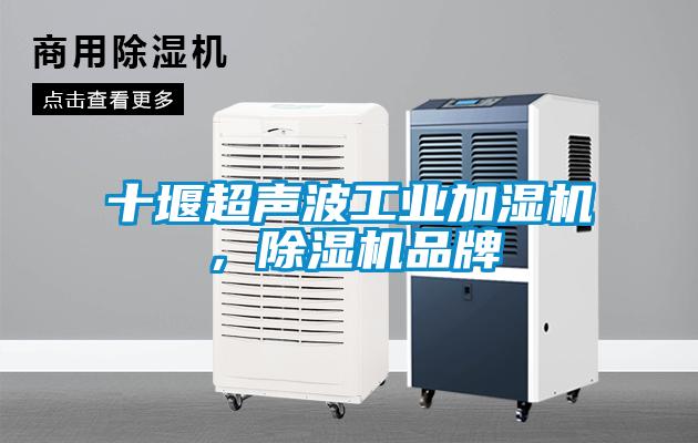 十堰超聲波工業(yè)加濕機(jī)，除濕機(jī)品牌