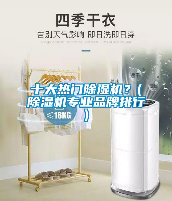 十大熱門除濕機？(除濕機專業(yè)品牌排行)