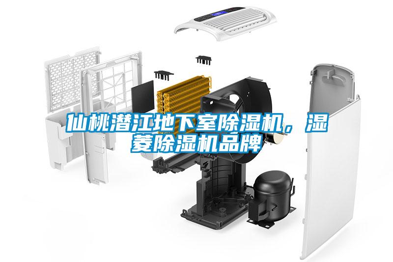 仙桃潛江地下室除濕機(jī)，濕菱除濕機(jī)品牌