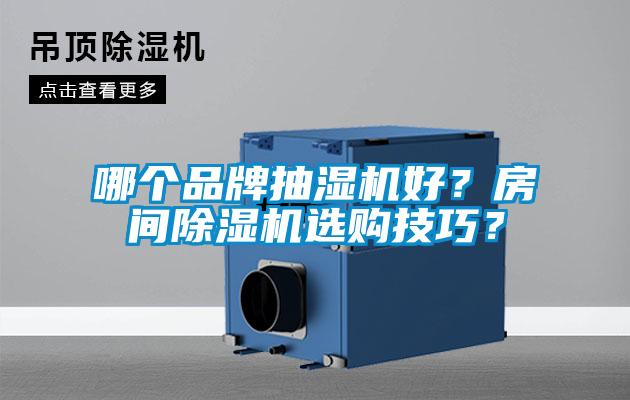 哪個品牌抽濕機好？房間除濕機選購技巧？