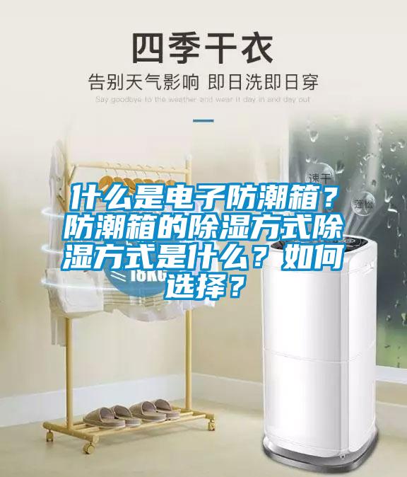 什么是電子防潮箱？防潮箱的除濕方式除濕方式是什么？如何選擇？