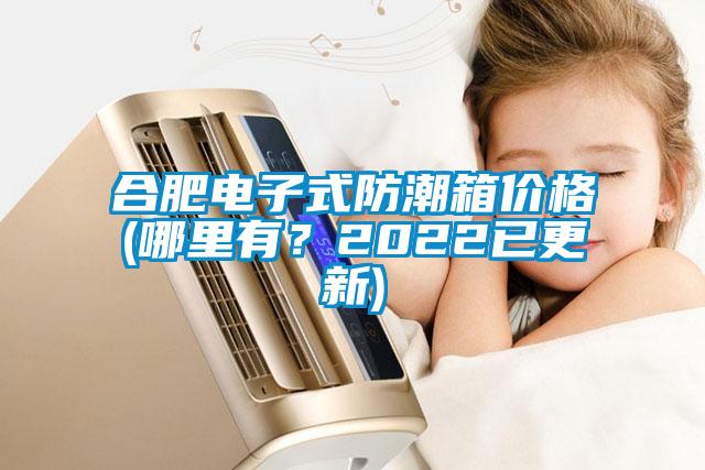 合肥電子式防潮箱價(jià)格(哪里有？2022已更新)