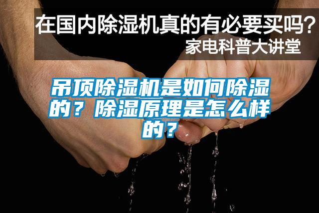 吊頂除濕機是如何除濕的？除濕原理是怎么樣的？