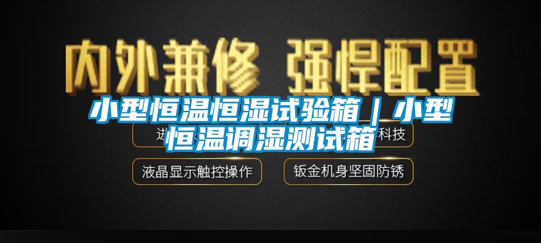 小型恒溫恒濕試驗(yàn)箱｜小型恒溫調(diào)濕測(cè)試箱