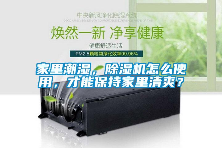 家里潮濕，除濕機(jī)怎么使用，才能保持家里清爽？