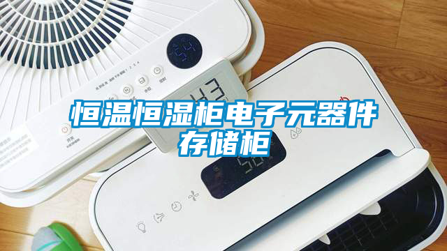 恒溫恒濕柜電子元器件存儲柜