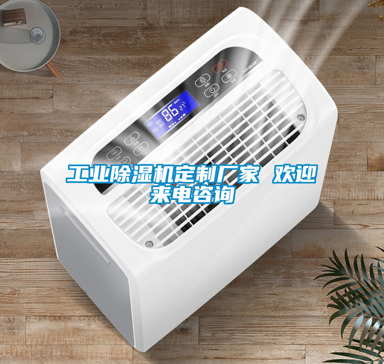 工業(yè)除濕機(jī)定制廠家 歡迎來(lái)電咨詢