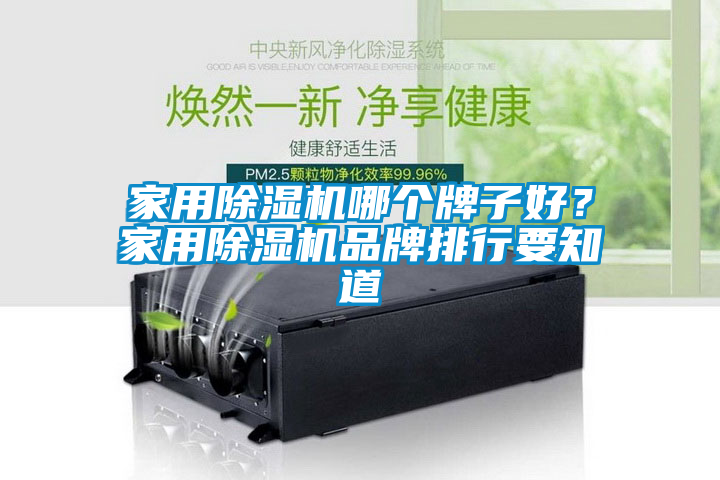 家用除濕機哪個牌子好？家用除濕機品牌排行要知道