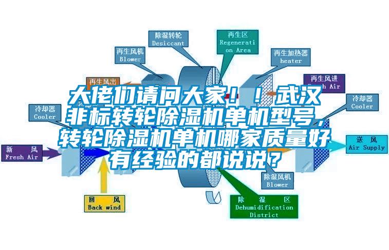 大佬們請問大家??！武漢非標轉(zhuǎn)輪除濕機單機型號，轉(zhuǎn)輪除濕機單機哪家質(zhì)量好有經(jīng)驗的都說說？