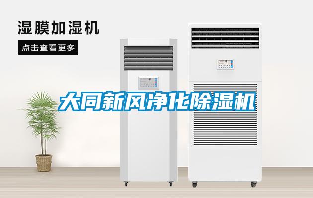 大同新風凈化除濕機