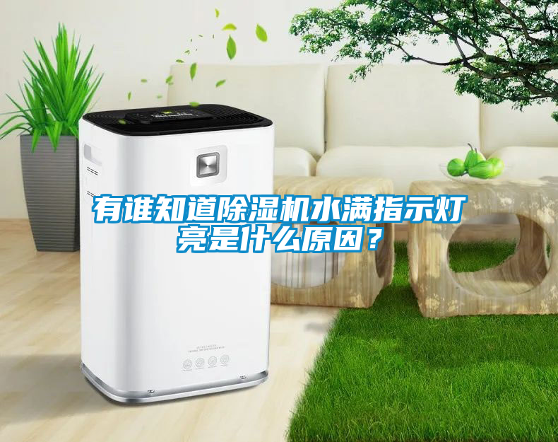 有誰知道除濕機水滿指示燈亮是什么原因？