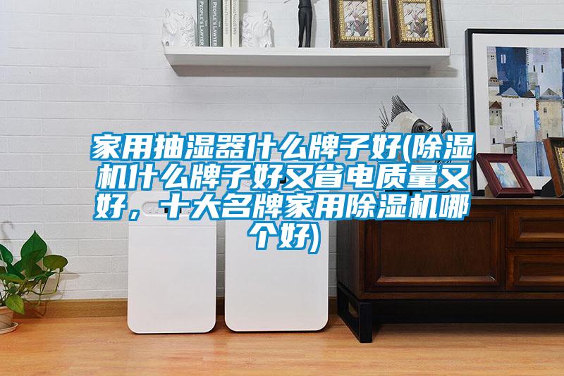 家用抽濕器什么牌子好(除濕機什么牌子好又省電質(zhì)量又好，十大名牌家用除濕機哪個好)