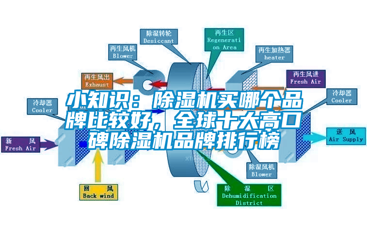 小知識：除濕機買哪個品牌比較好，全球十大高口碑除濕機品牌排行榜