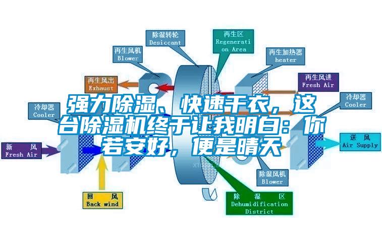 強力除濕、快速干衣，這臺除濕機終于讓我明白：你若安好，便是晴天