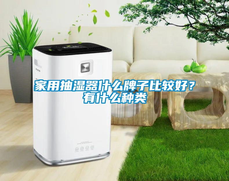 家用抽濕器什么牌子比較好？有什么種類