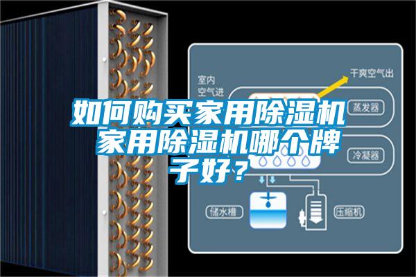 如何購買家用除濕機 家用除濕機哪個牌子好？