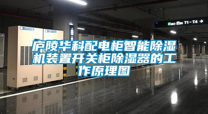 廬陵華科配電柜智能除濕機裝置開關(guān)柜除濕器的工作原理圖