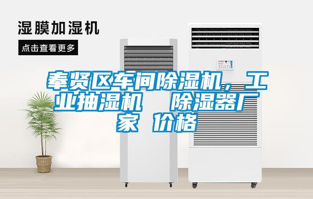 奉賢區(qū)車間除濕機，工業(yè)抽濕機  除濕器廠家 價格