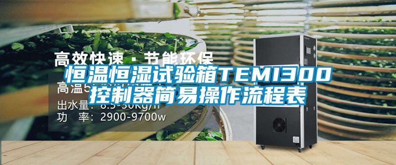 恒溫恒濕試驗(yàn)箱TEMI300控制器簡易操作流程表