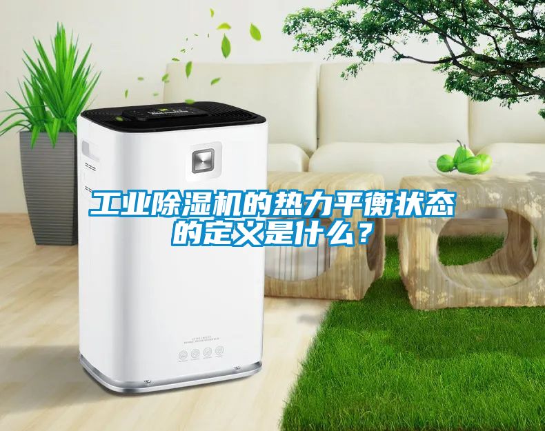 工業(yè)除濕機的熱力平衡狀態(tài)的定義是什么？