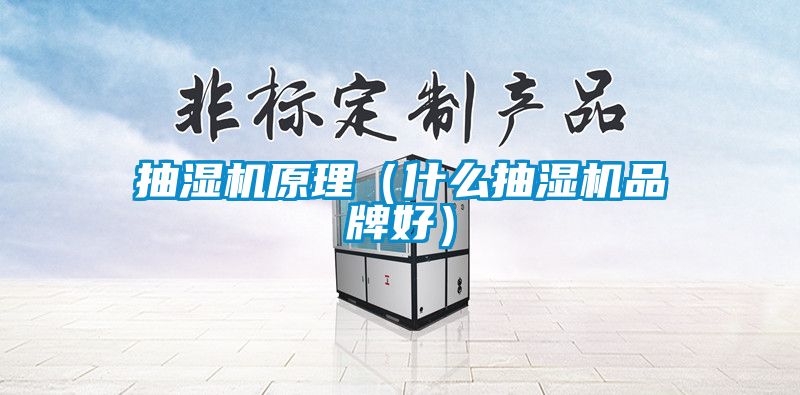 抽濕機(jī)原理（什么抽濕機(jī)品牌好）