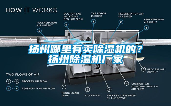 揚(yáng)州哪里有賣除濕機(jī)的？揚(yáng)州除濕機(jī)廠家