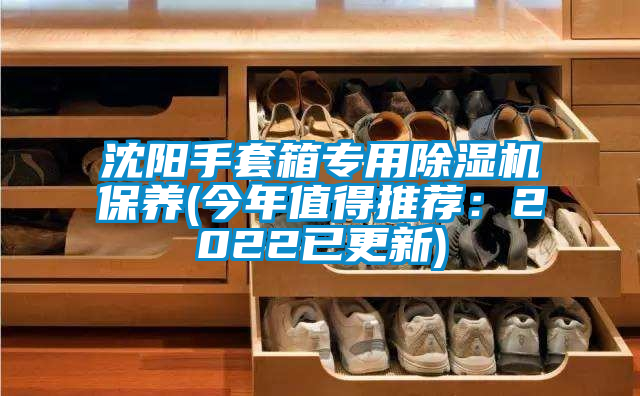 沈陽手套箱專用除濕機(jī)保養(yǎng)(今年值得推薦：2022已更新)