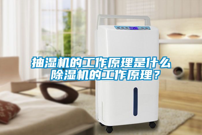 抽濕機的工作原理是什么 除濕機的工作原理？