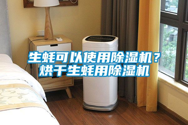 生蠔可以使用除濕機？烘干生蠔用除濕機