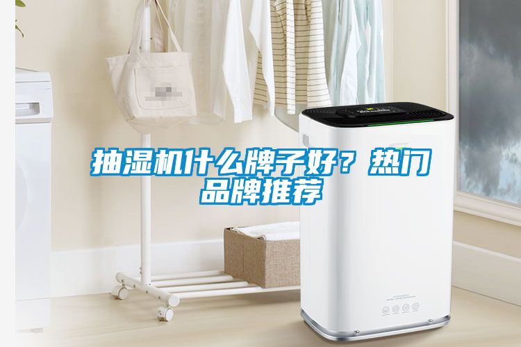 抽濕機什么牌子好？熱門品牌推薦