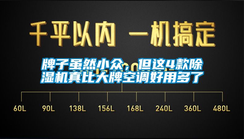 牌子雖然小眾，但這4款除濕機真比大牌空調(diào)好用多了