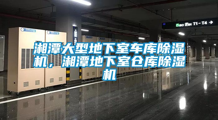 湘潭大型地下室車庫(kù)除濕機(jī)，湘潭地下室倉(cāng)庫(kù)除濕機(jī)