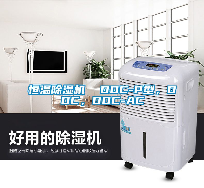 恒溫除濕機(jī)  DDC-P型，DDC，DDC-AC