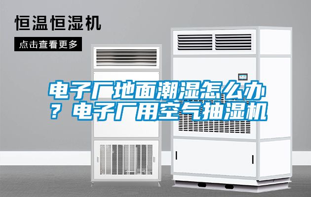 電子廠地面潮濕怎么辦？電子廠用空氣抽濕機(jī)