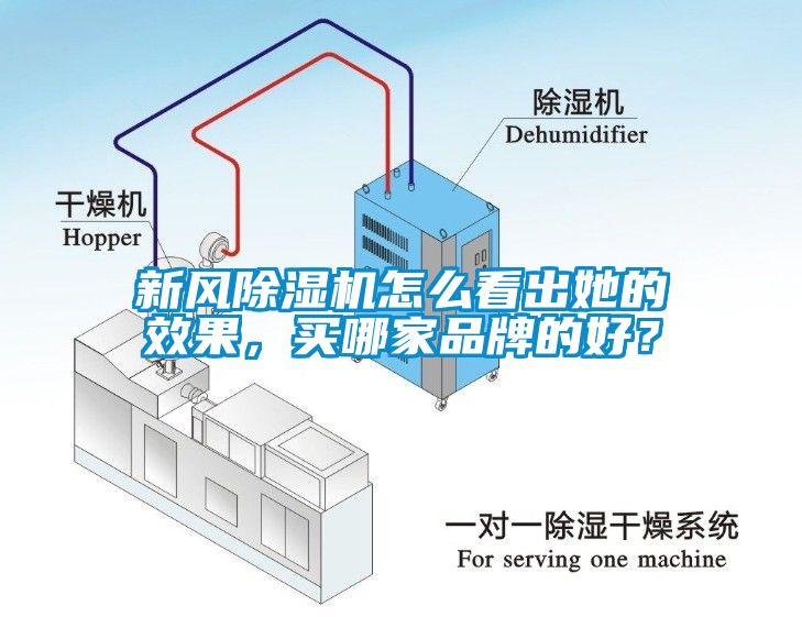 新風除濕機怎么看出她的效果，買哪家品牌的好？