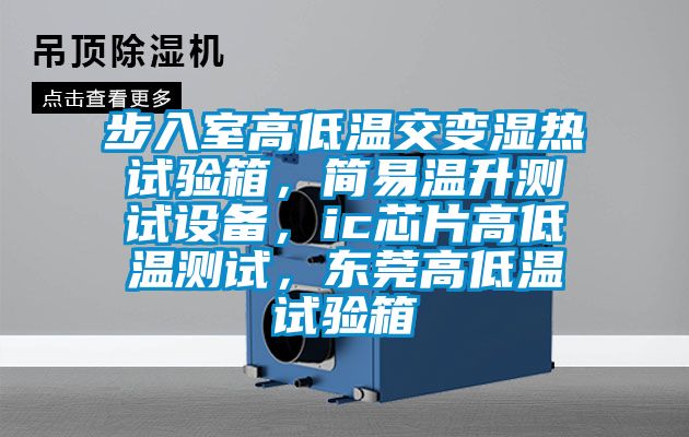 步入室高低溫交變濕熱試驗箱，簡易溫升測試設備，ic芯片高低溫測試，東莞高低溫試驗箱