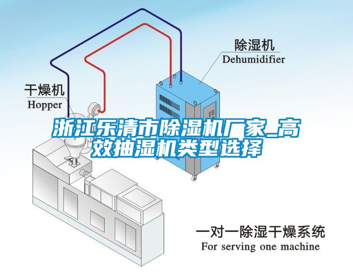 浙江樂(lè)清市除濕機(jī)廠家_高效抽濕機(jī)類(lèi)型選擇