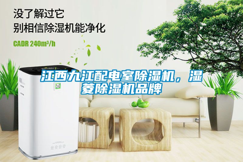 江西九江配電室除濕機，濕菱除濕機品牌